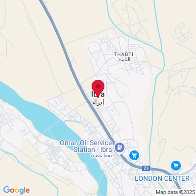 Google Maps static image